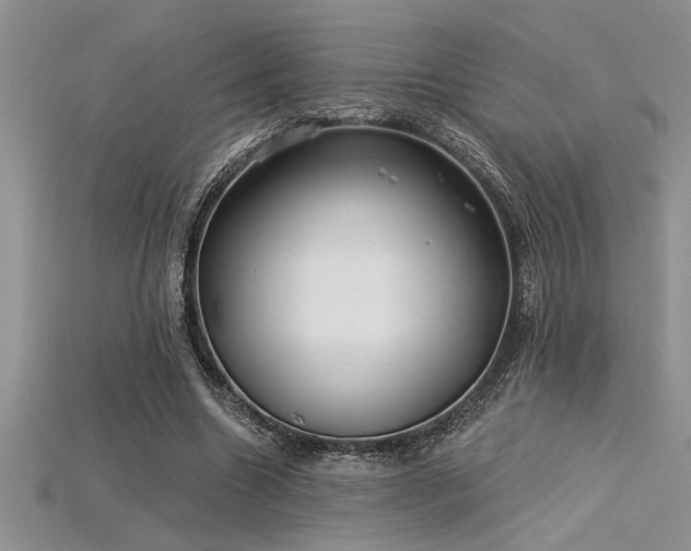 X0000115830538200911131507