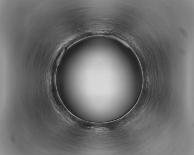 X0000115830539200911131507