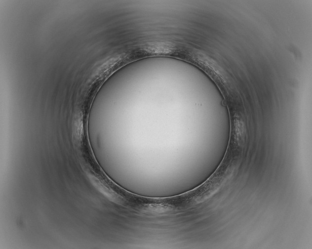 X0000115830541200911131507