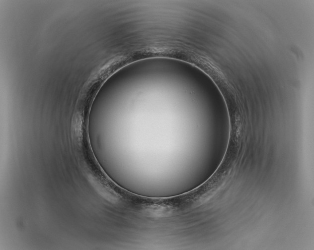 X0000115830542200911131507