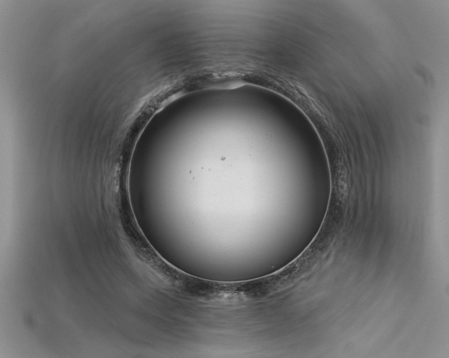 X0000115830543200911131507