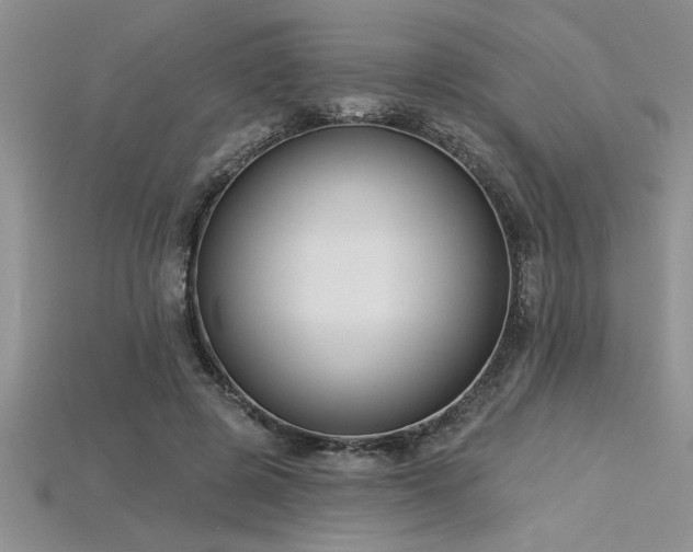 X0000115830545200911131507