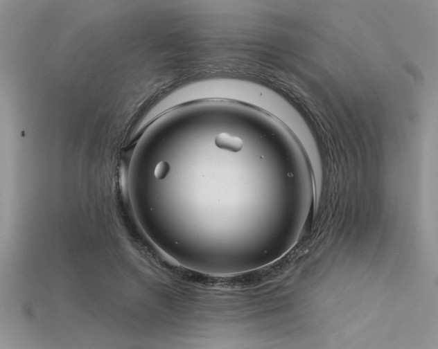 X0000115830546200911131507