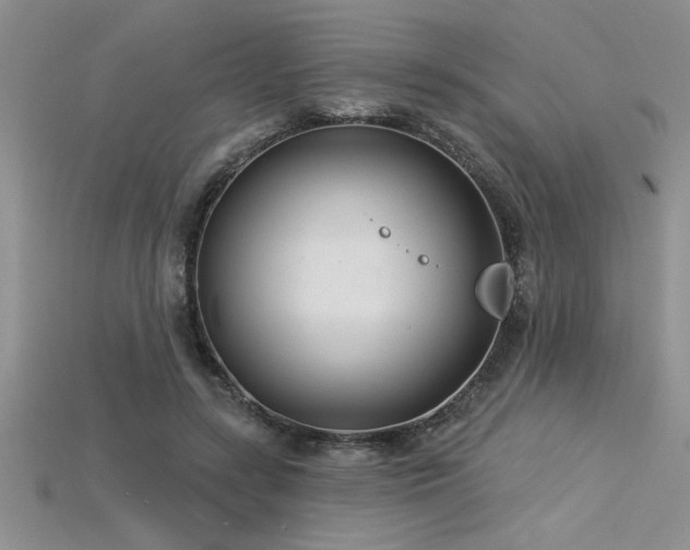 X0000115830547200911131507