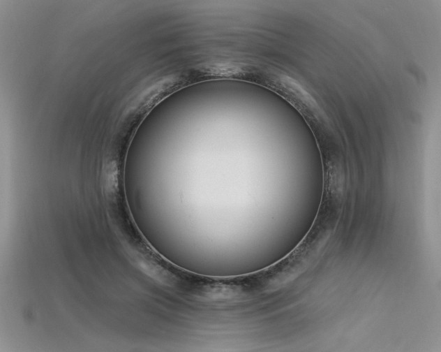 X0000115830549200911131507