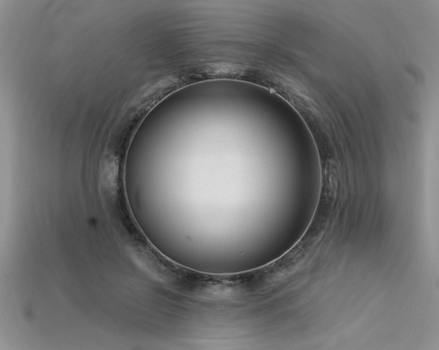 X0000115830550200911131507