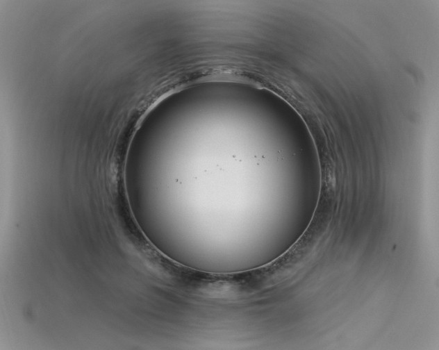 X0000115830551200911131507