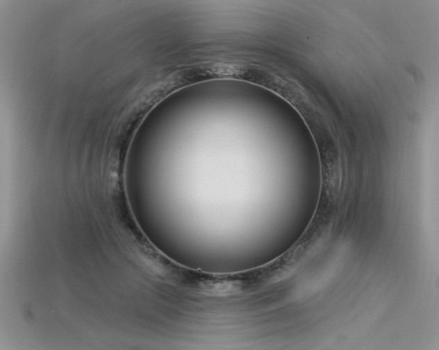 X0000115830553200911131507