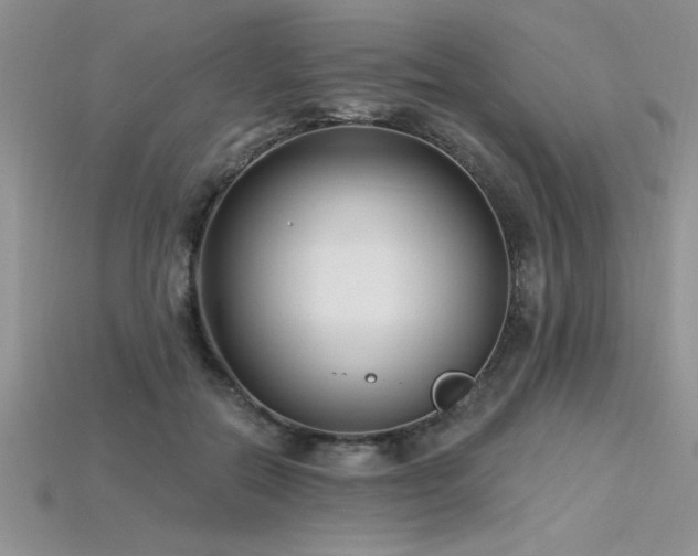 X0000115830554200911131507