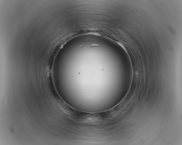 X0000115830555200911131507