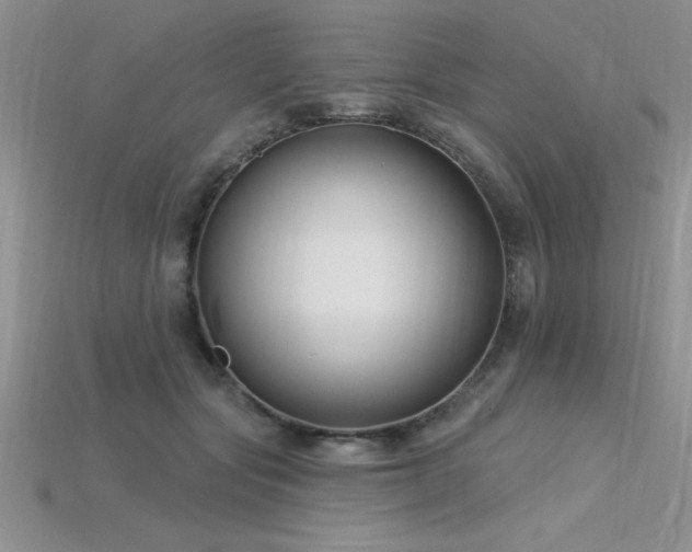 X0000115830557200911131507