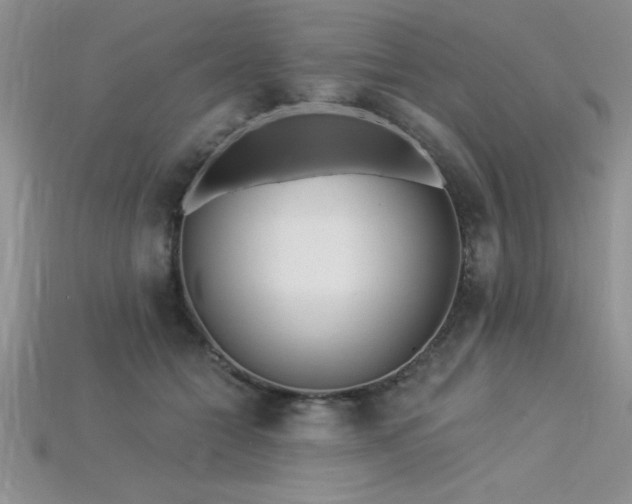 X0000115830558200911131507