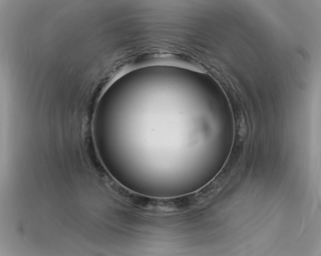 X0000115830559200911131508