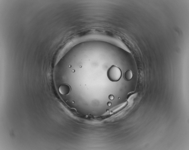 X0000115830561200911131508