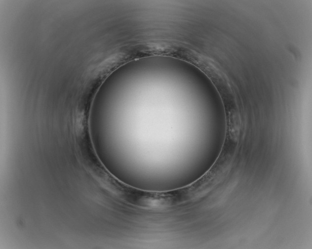 X0000115830563200911131508