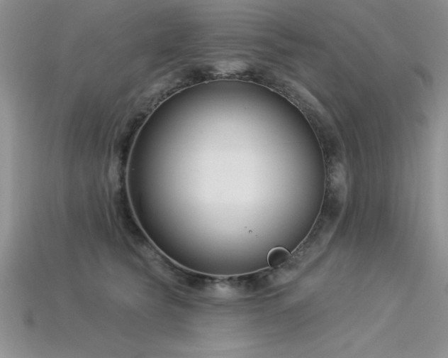 X0000115830565200911131508