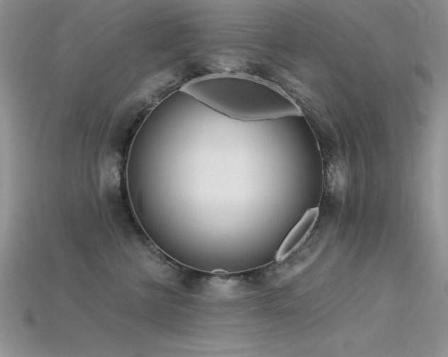 X0000115830570200911131508