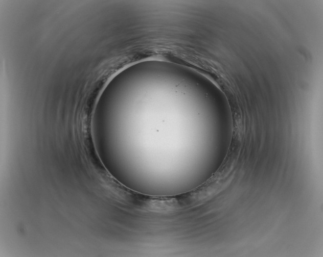 X0000115830571200911131508