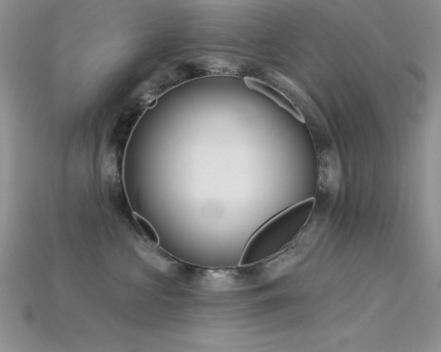 X0000115830573200911131508