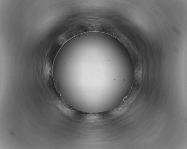 X0000115830574200911131508