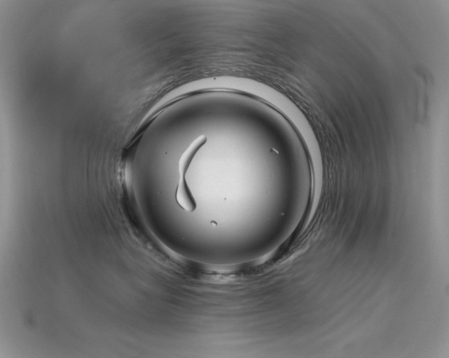 X0000115830575200911131508