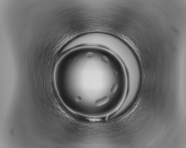 X0000115830577200911131507