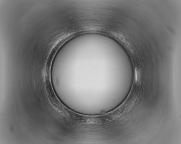 X0000115830579200911131507