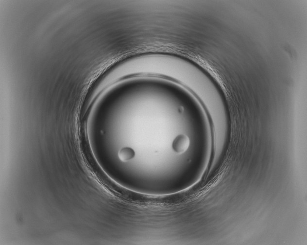 X0000115830581200911131507