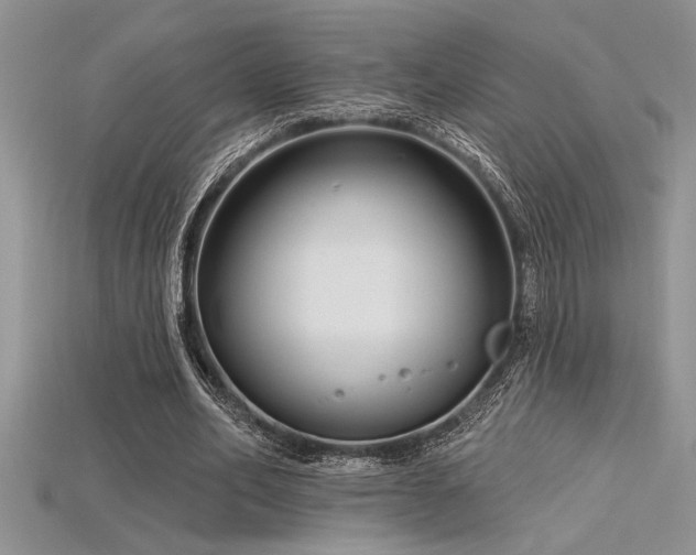 X0000115830582200911131507