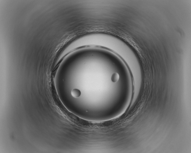 X0000115830585200911131507