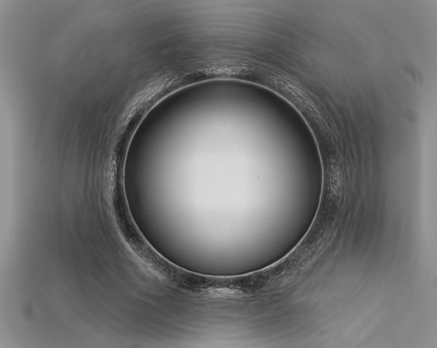 X0000115830586200911131507