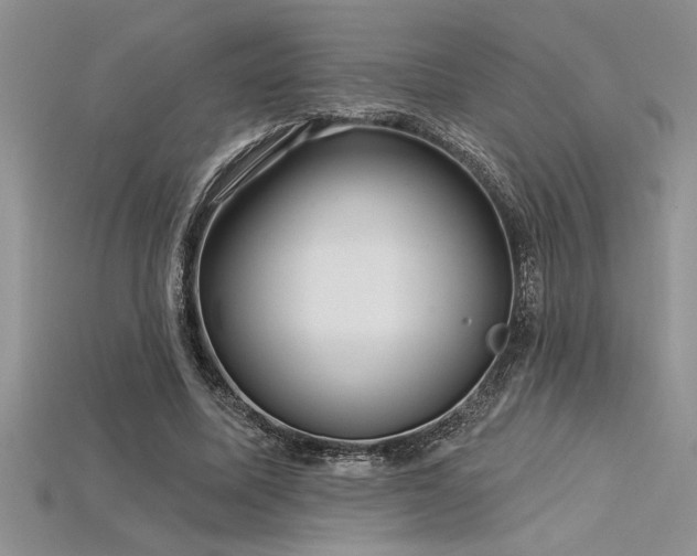 X0000115830587200911131507