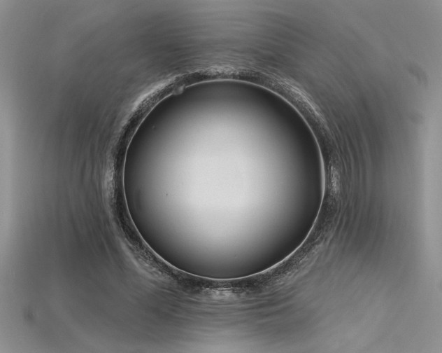 X0000115830588200911131507