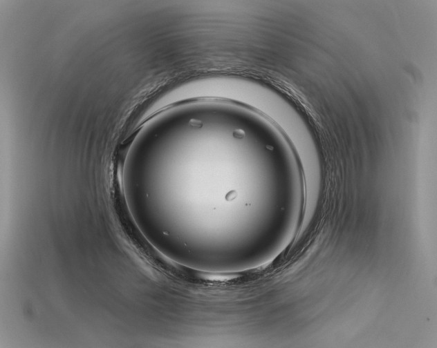 X0000115830589200911131507