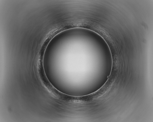 X0000115830590200911131507