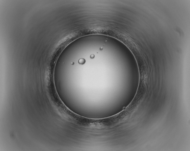 X0000115830591200911131507