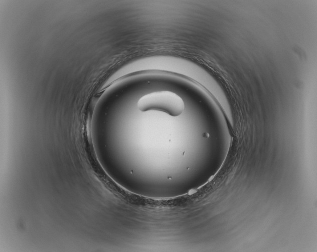 X0000115830593200911131507