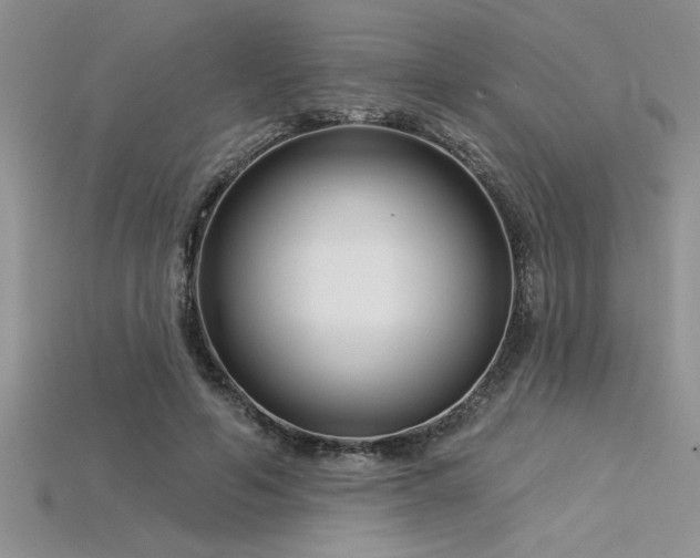 X0000115830594200911131507