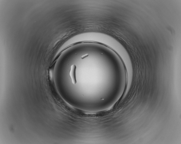 X0000115830595200911131507