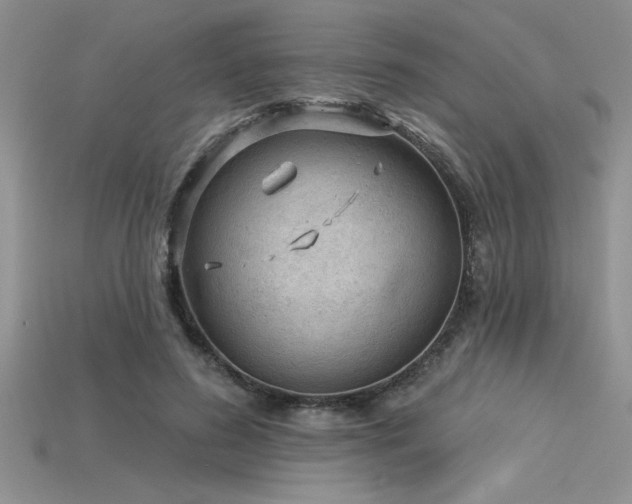 X0000115830596200911131507