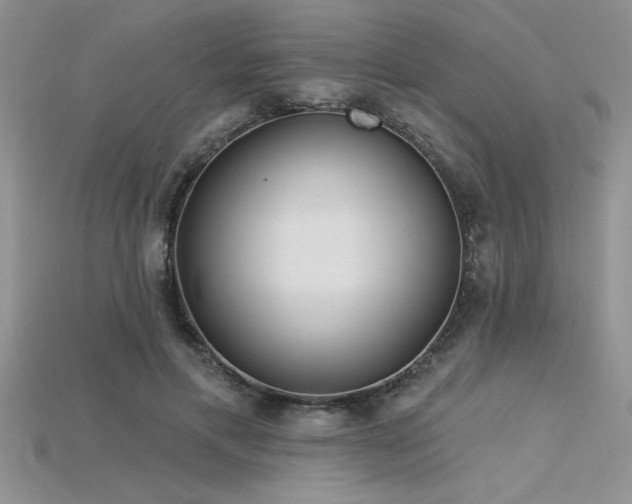 X0000115830597200911131507