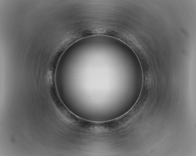 X0000115830598200911131507