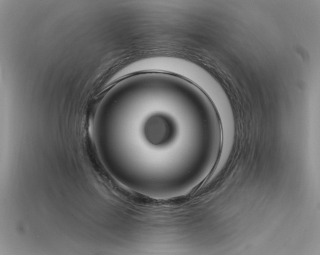 X0000115830599200911131507