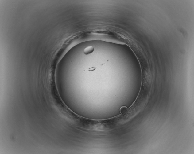 X0000115830600200911131507