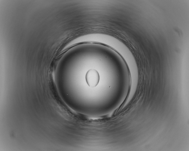 X0000115830601200911131507