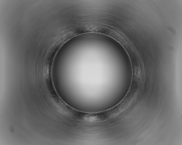 X0000115830602200911131507