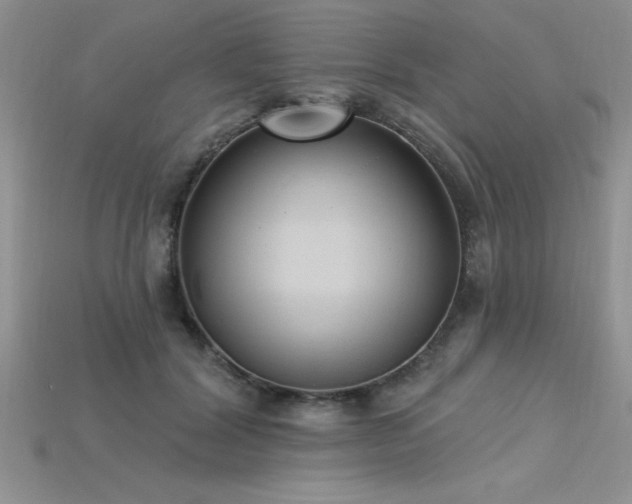 X0000115830604200911131507