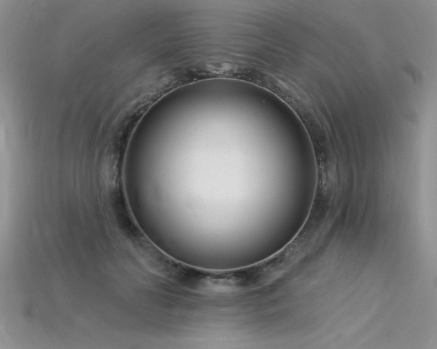 X0000115830606200911131507