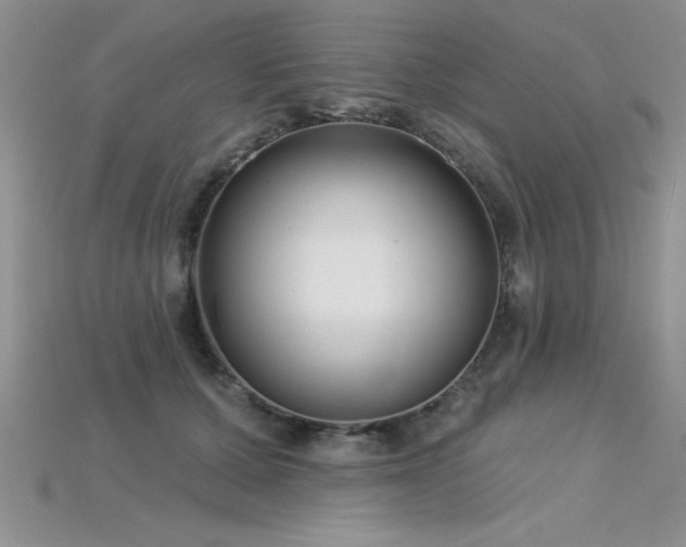 X0000115830607200911131507