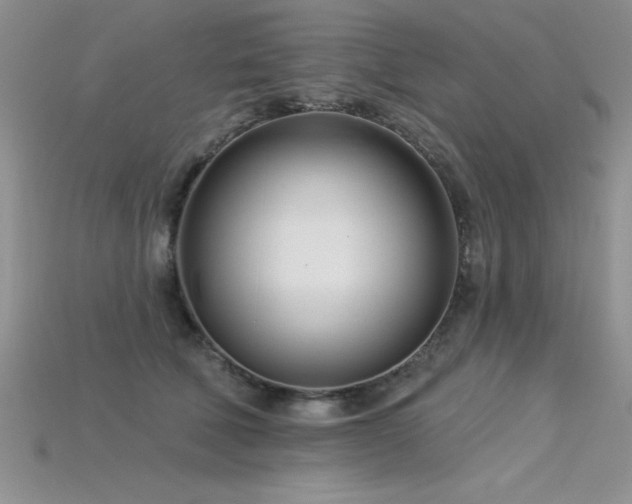 X0000115830610200911131507